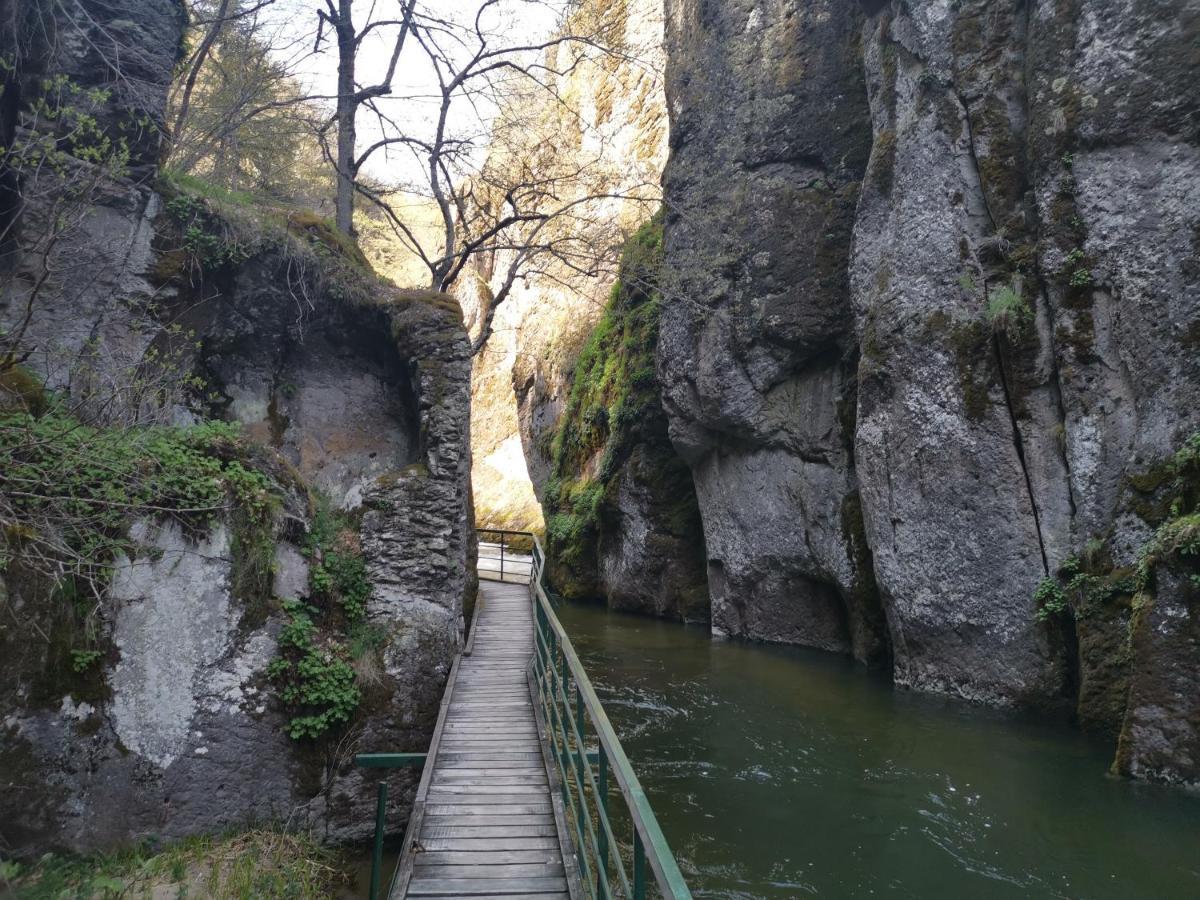 Къща Томови,Стаи За Гости Devin Exterior foto